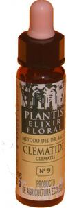 Clemtide | Plantis | 10 ml