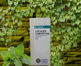 Les Acer Campestris | Forza Vitale | 50 ml