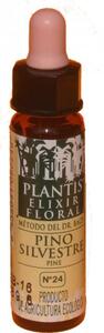 Pino silvestre | Plantis | 10 ml
