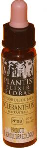 Scleranthus | Plantis | 10 ml