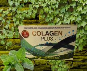 Colagen Plus | Prisma Natural | 30 sobres
