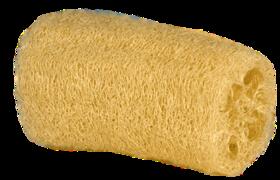 Esponja de lufa natural | Zalasa | 15cm