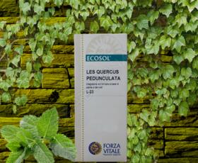 Les Quercus Pedunculata | Forza Vitale | 50 ml