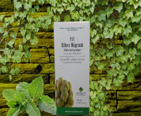 Ribes Nigrum PSC | Forza Vitale | 15 ml