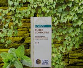 Rubus Composto | Forza Vitale | 50 ml