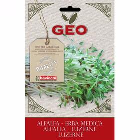 Semillas de alfalfa BIO | GEO | 40 gramos