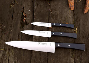 Conjunto cuchillos cocina punta